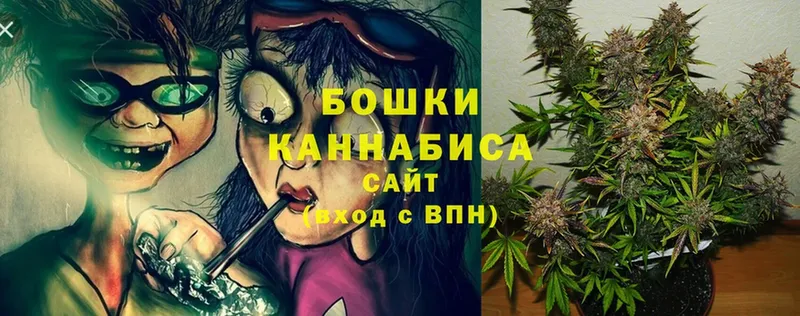 Бошки марихуана THC 21%  Богородицк 