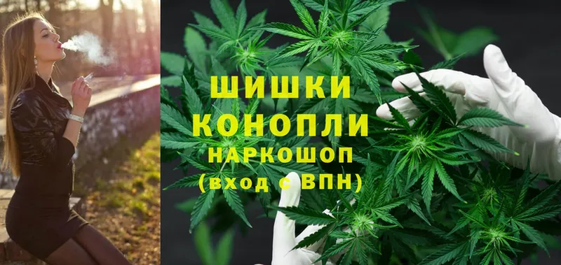 Бошки Шишки THC 21%  сколько стоит  Богородицк 